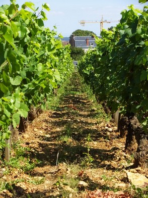 H様ご夫妻/結婚１０周年記念旅行9日間